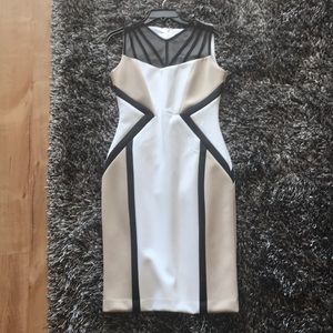 Never worn, very class. Calvin Klein dress size 4.